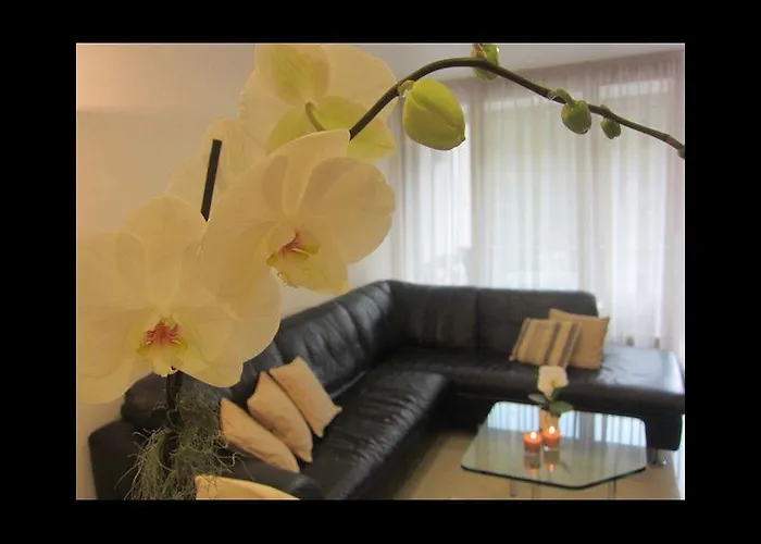 Апартаменты Rancho